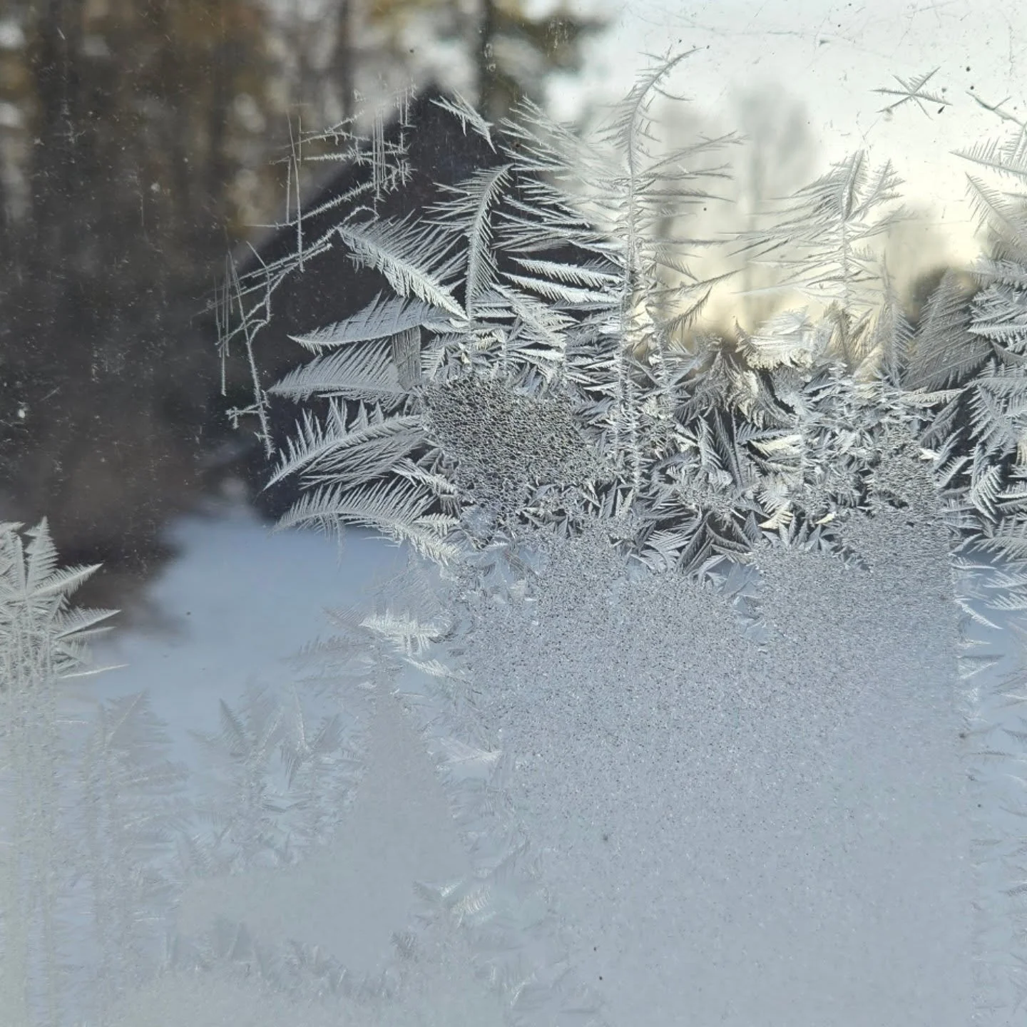 It was a COLD day at the Holyoke-French house today. This is a view of the barn through a pane of glass in the dining room window. I found a letter in the Document Center collection from Gertrude French in the late 1930s, where she writes that she sp