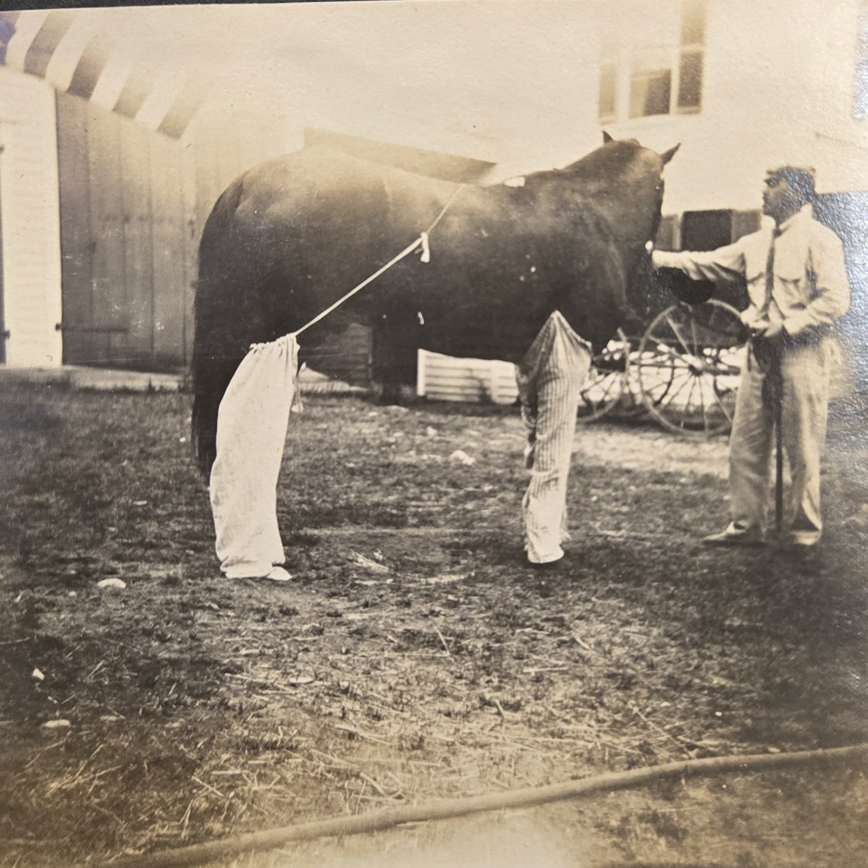 In Boxford, we sometimes dress our horses in pants! This photograph was taken at the Herrick Farm (5 Herrick Road) in the late 1800s or early 1900s.

This photograph comes from a Herrick family album at the Boxford Historic Document Center. 

#boxfor