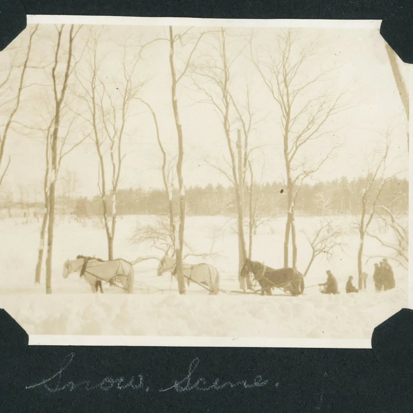 Plowing on Depot Road, 1914

#boxfordhistory #boxfordma #boxford #plowing #snowstorm snow