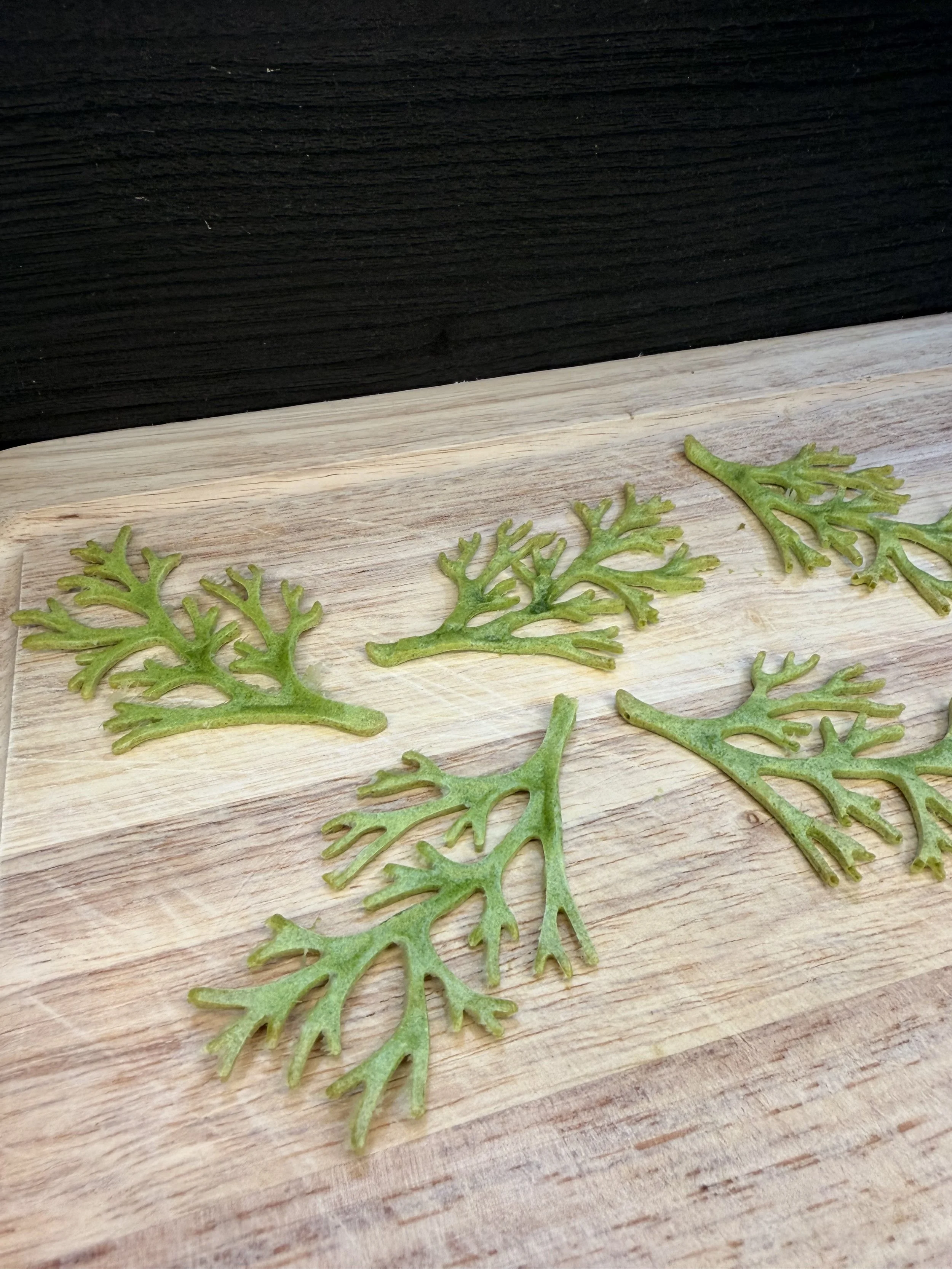 Green leafy seedling or plant cuttings placed on a light-colored wooden surface with a dark background.