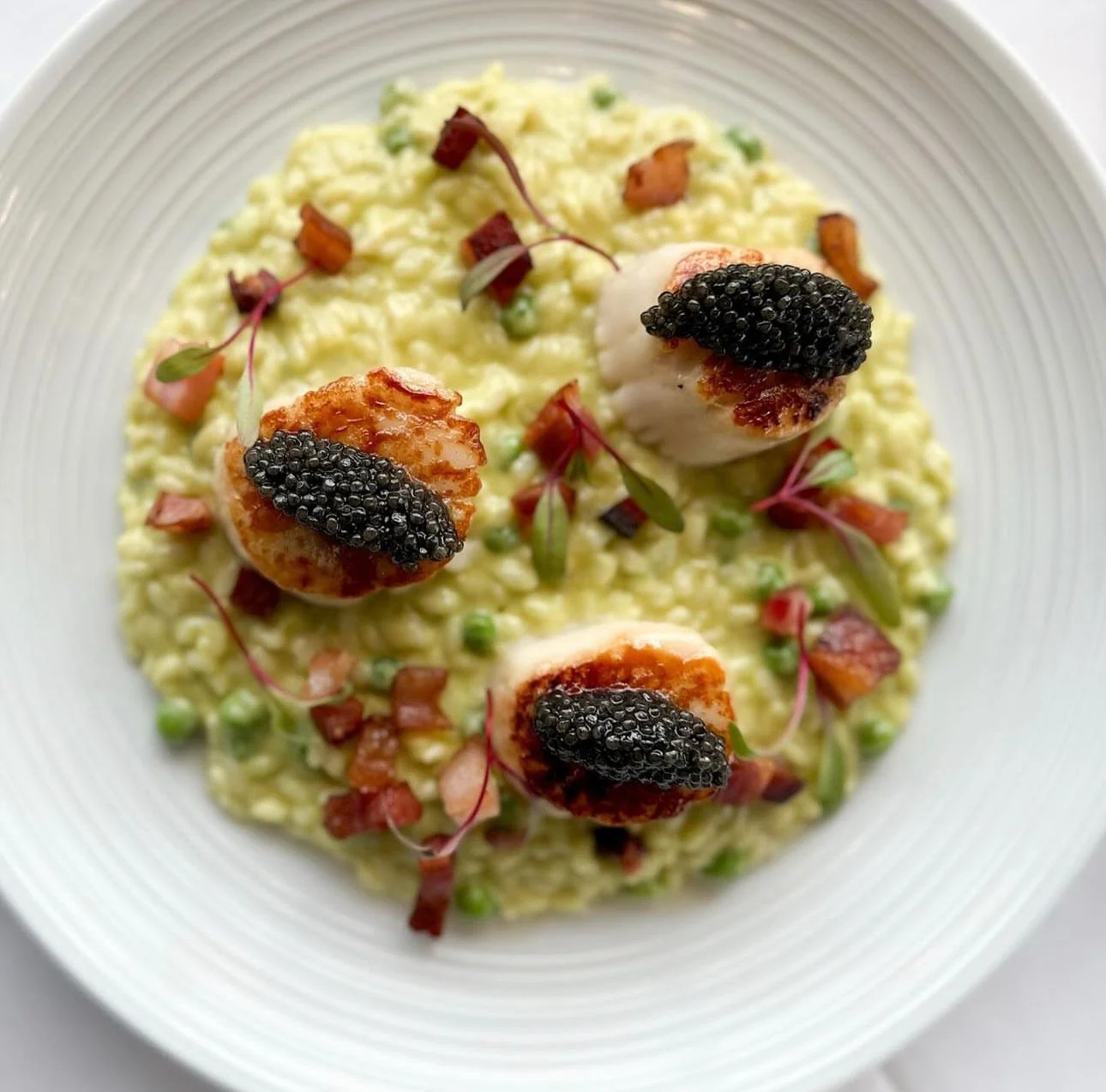 A plate of creamy yellow risotto garnished with seared scallops topped with black caviar, small diced bacon pieces, and microgreens.