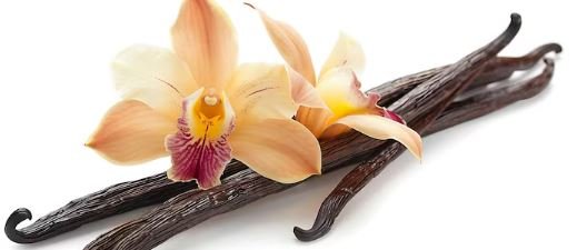 Gousse de Vanille Bourbon de Madagascar – Grand Cru Sambava | Taille Exceptionnelle +- 20 cm