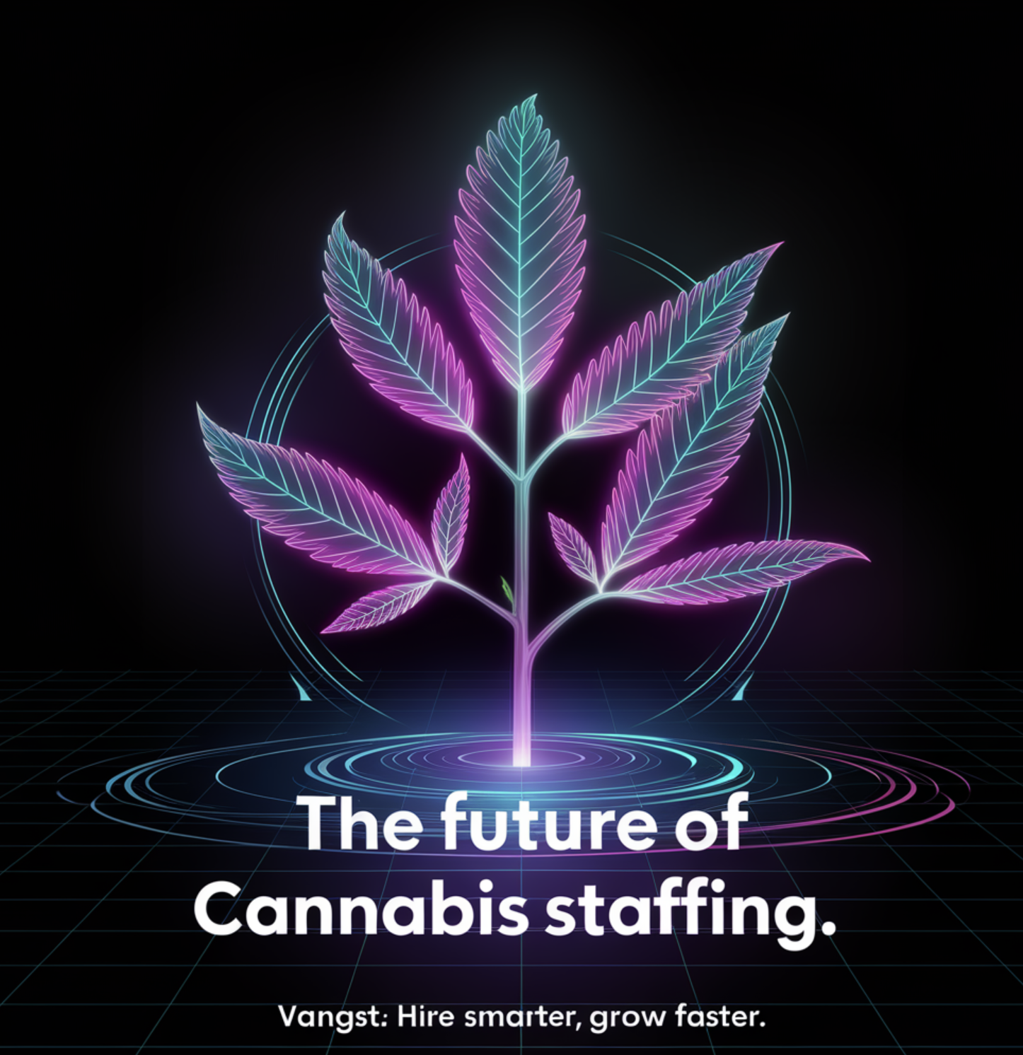 'The future of Cannabis staffing.' and 'Vangst: Hire smarter, grow faster.' Campaign