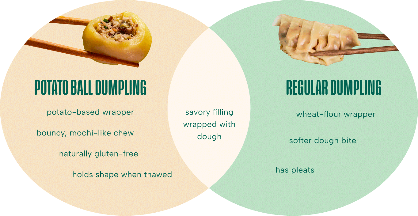 Venn Diagram showing the differences and similarity of potato ball dumplings and regular dumplings