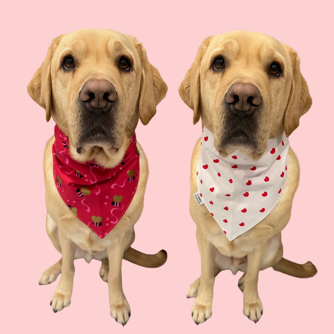 Valentine's Day Special Sale Social Media Graphic (2).png