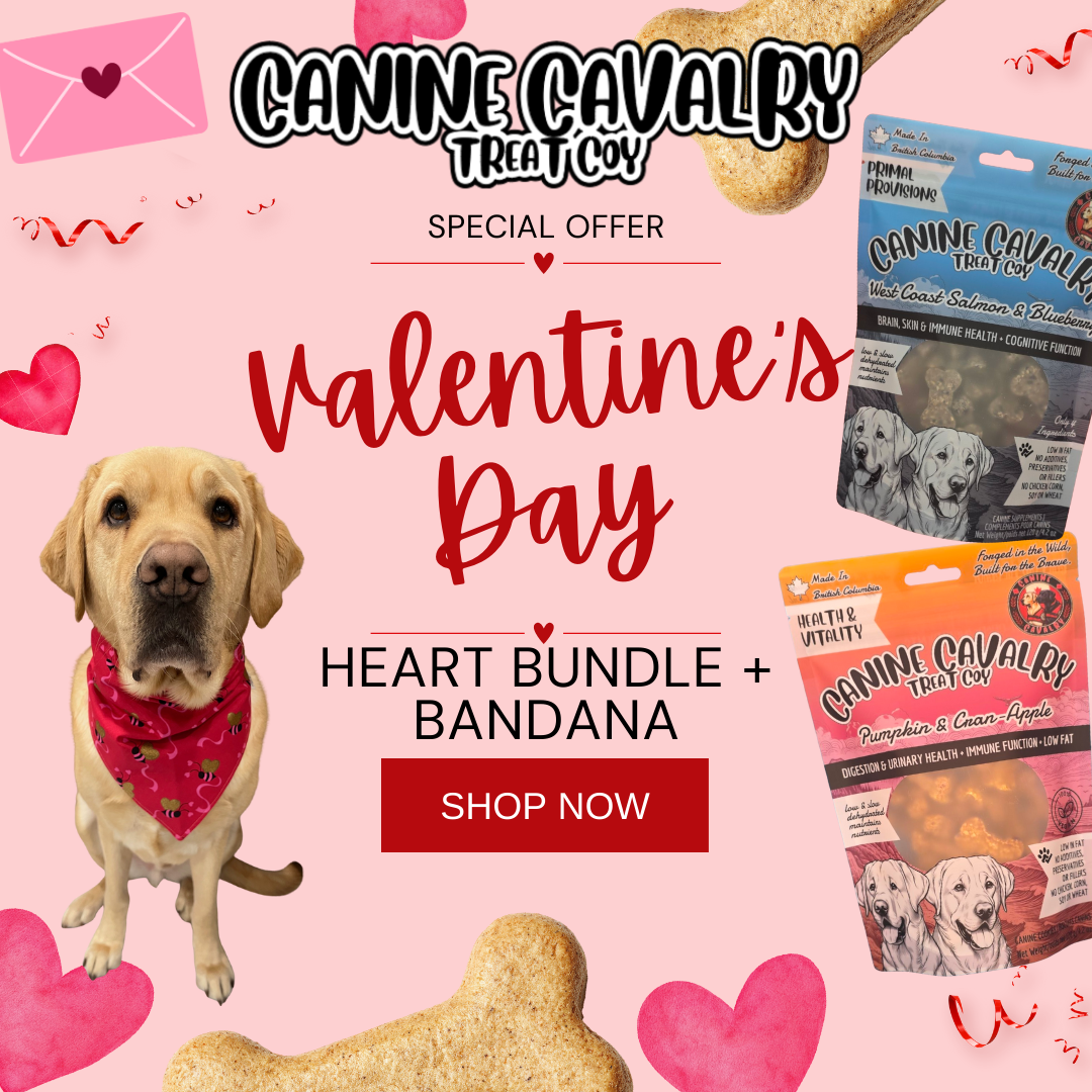 Valentine's Day Special Sale Social Media Graphic (1).png