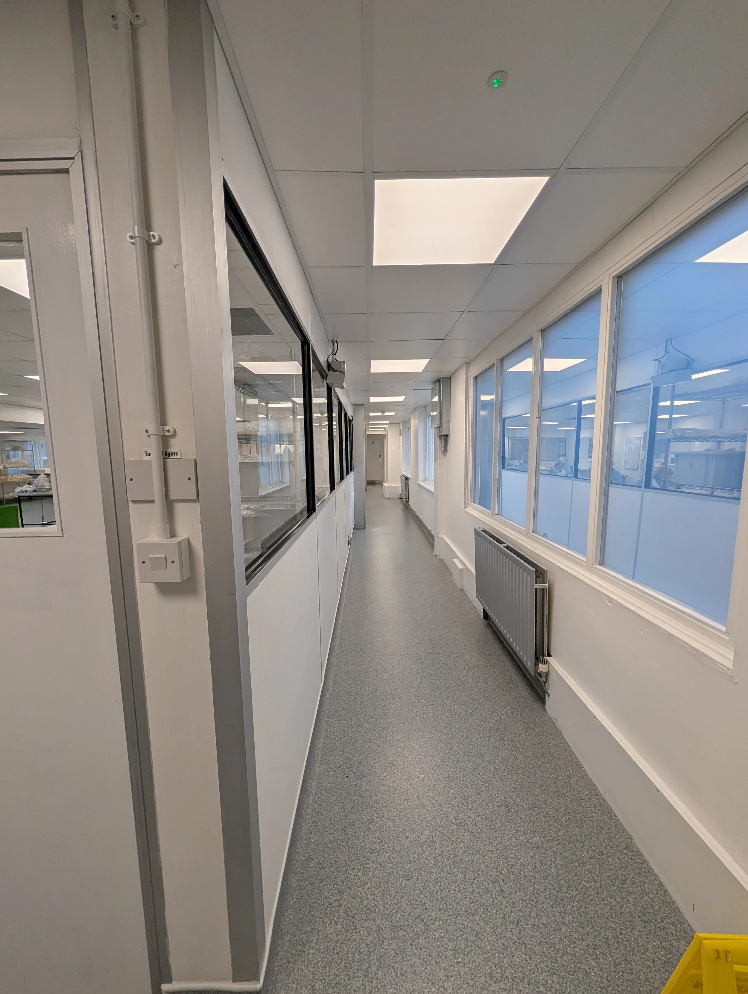 Cleanroom corridor with suspended ceiling LED panels, internal viewing windows on both sides, and a clean, easy-wipe floor finish.