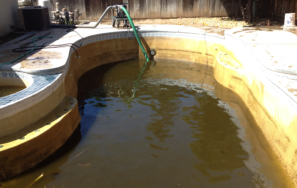 Dirty, stagnant outdoor swimming pool filled with murky brown water, with a pool vacuum hose submerged and pool cleaning equipment visible on the deck.