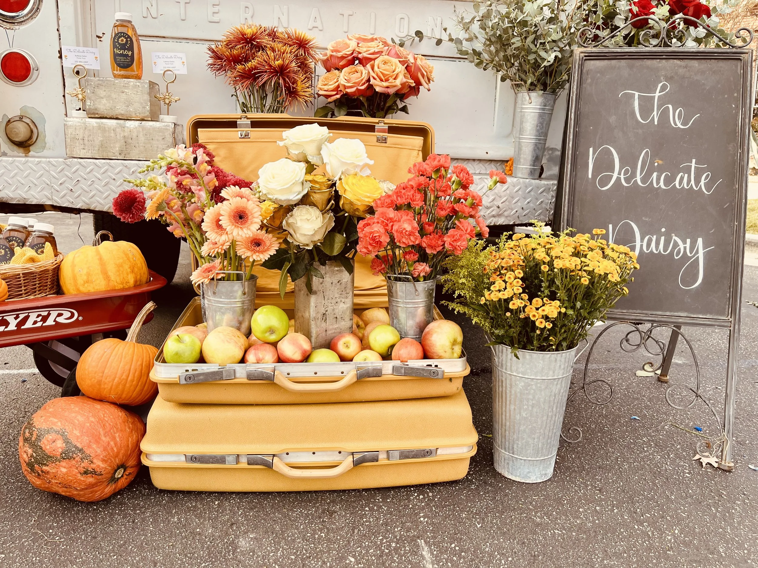 Daisy's Fall Garden