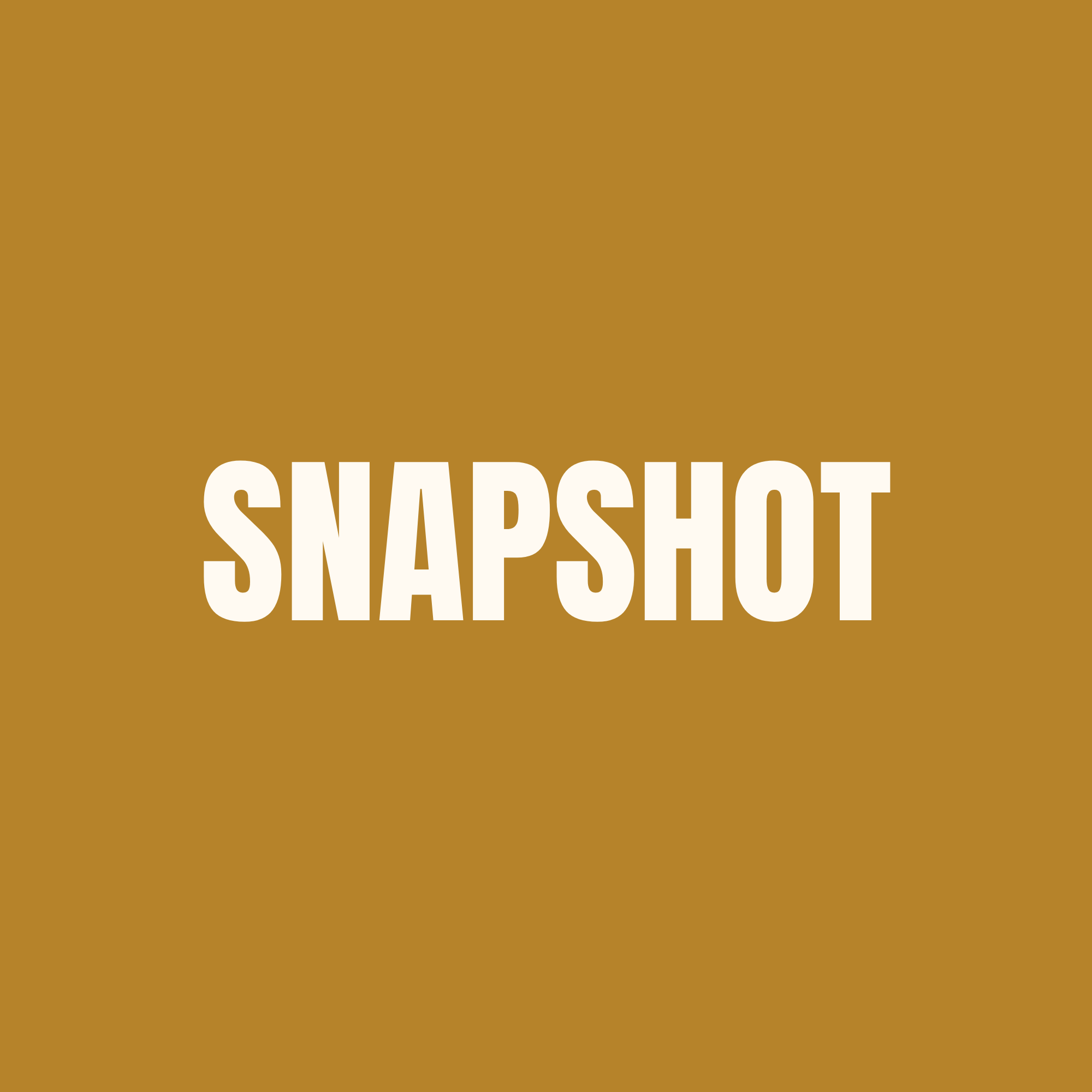 SNAPSHOT