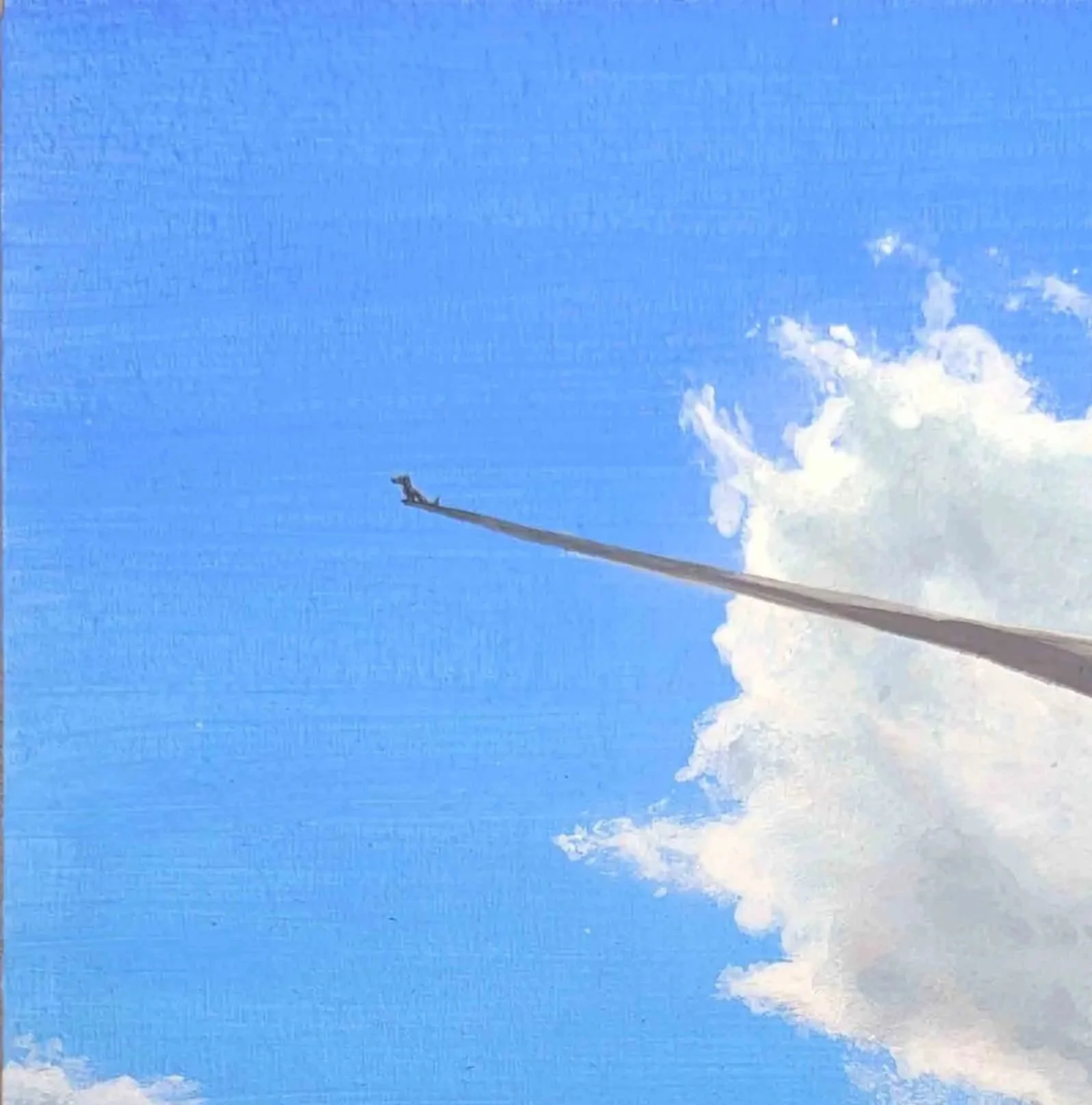 Blue sky with scattered white clouds and a plane's contrail extending diagonally across the image.