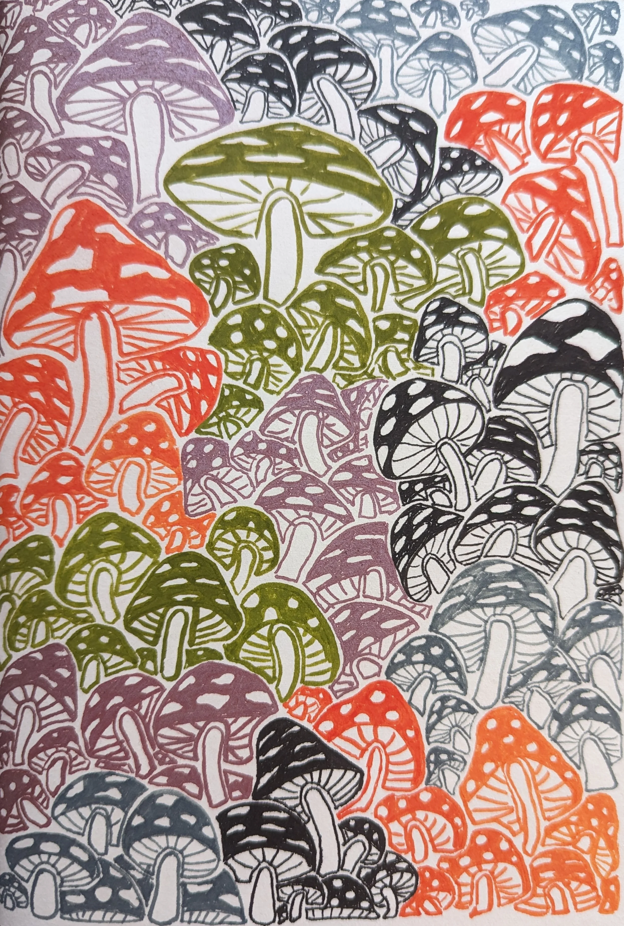 PXL_20230710_081946251.jpg (Copy)