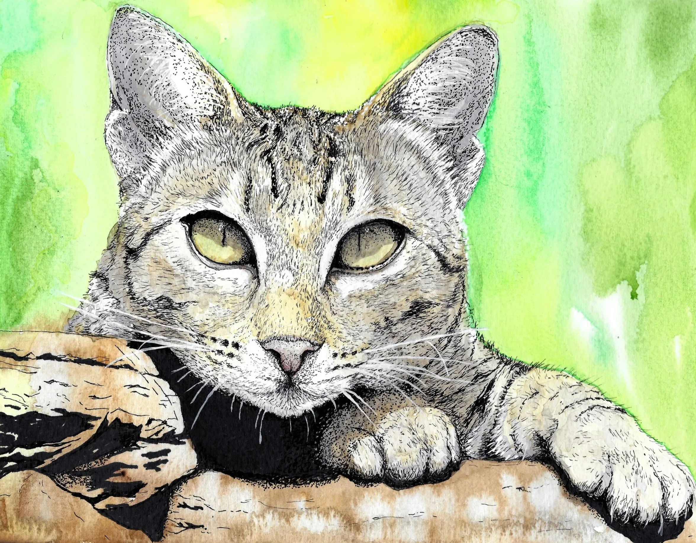 A watercolor painting of a cat lying down against a green background.