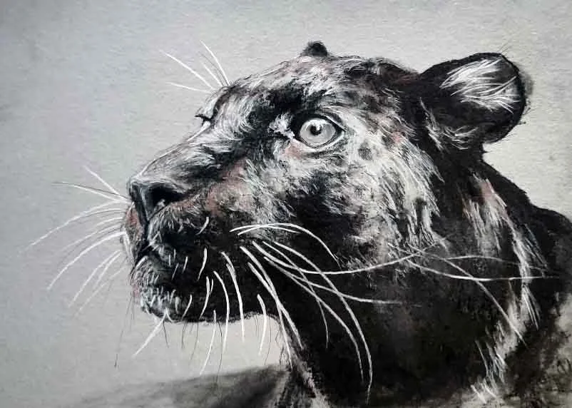 A realistic painting of a black panther's face in profile, showing detailed features and fur.