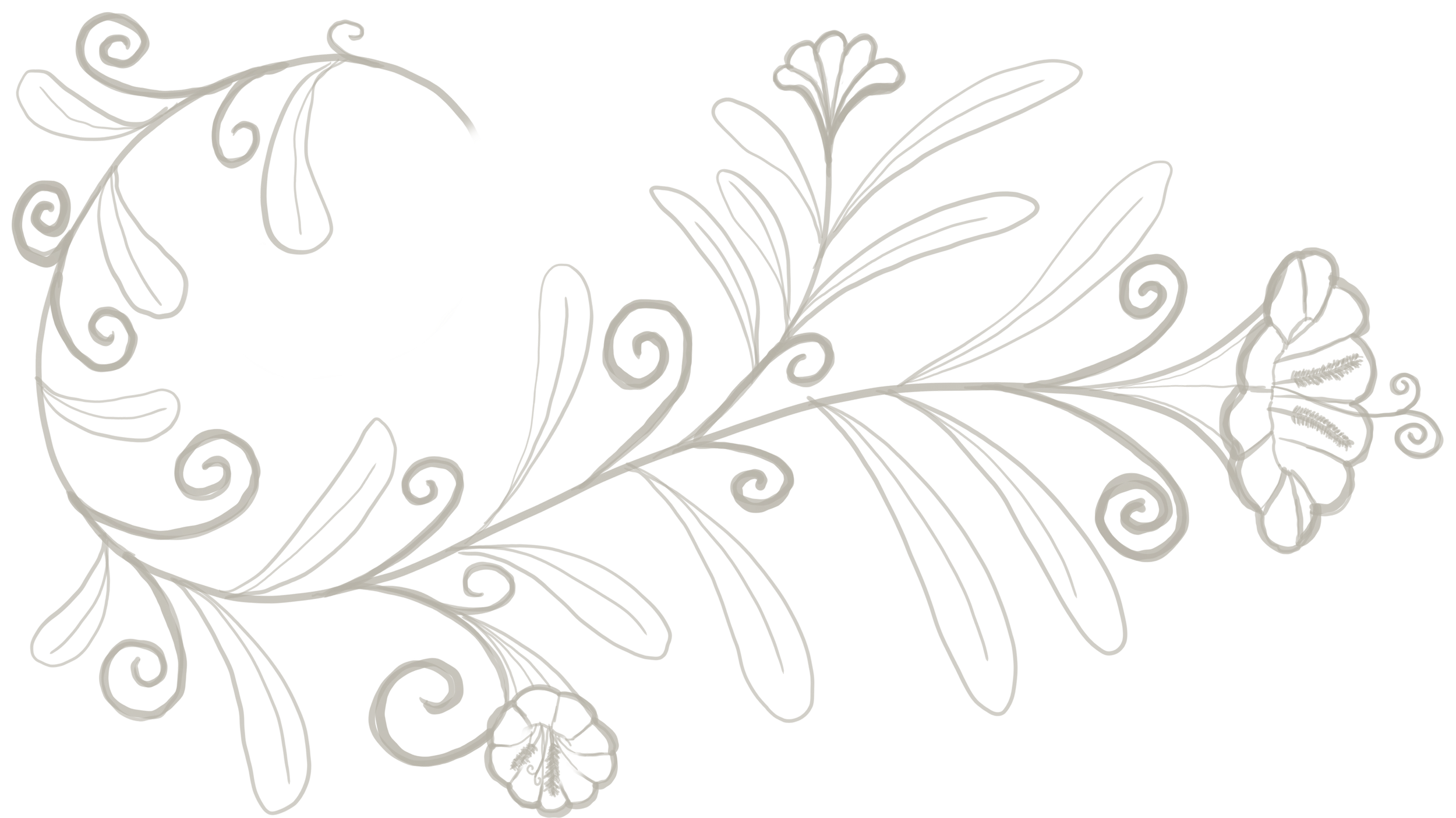 Decorative black and white floral and swirl pattern with intricate linework.