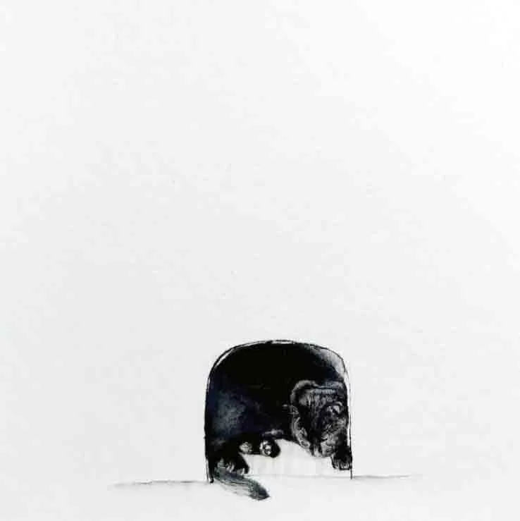Sleeping Cat (2021)