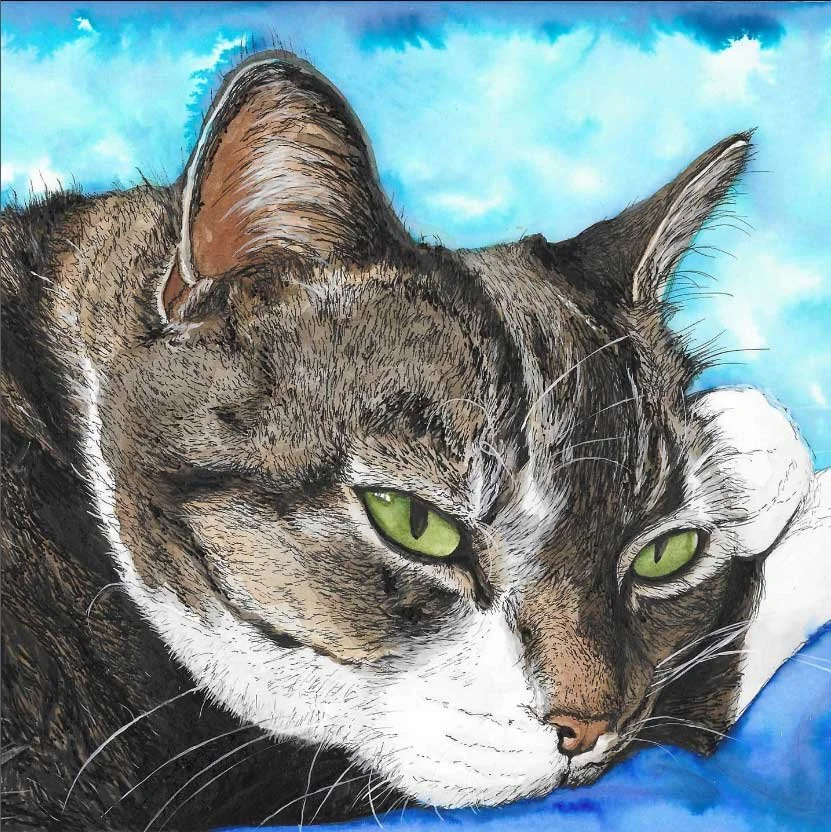 Tiga (2020)