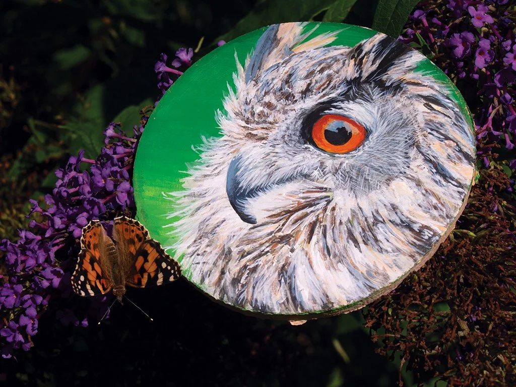 Long Eared Owl on Wood - Original Painting