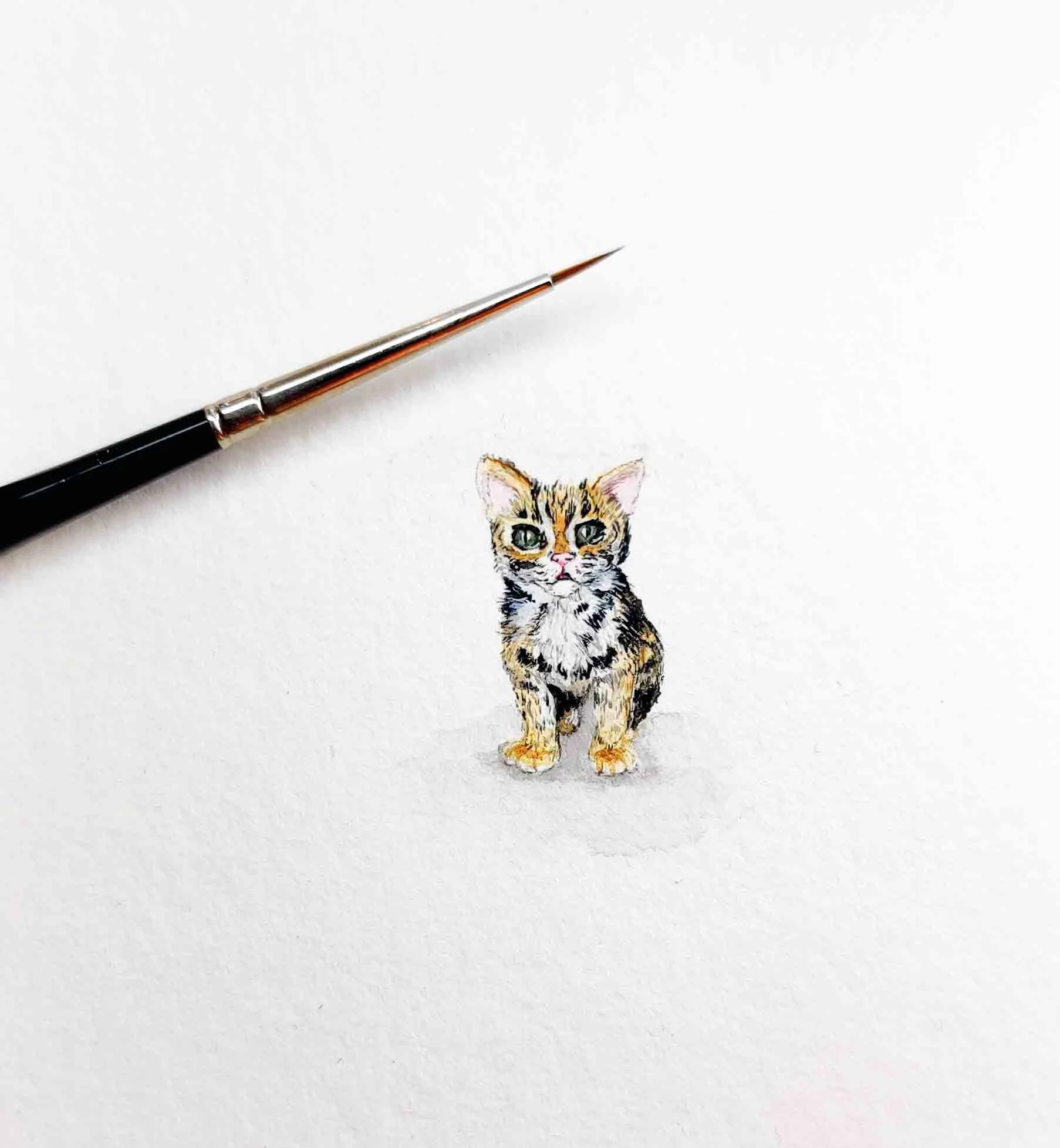 Kitten (2020)