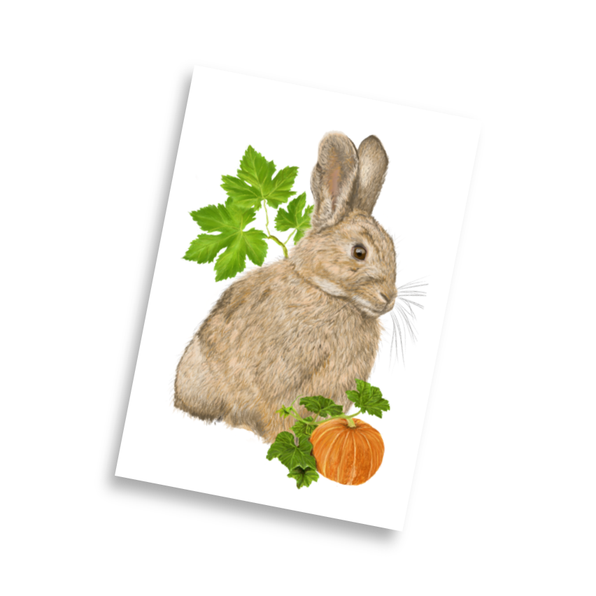 Rabbit & Pumpkin