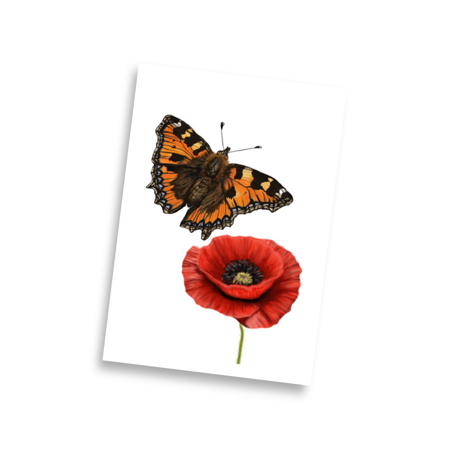 Butterfly & Poppy