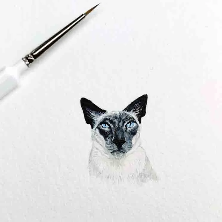 A realistic drawing of a Siamese cat with piercing blue eyes, black ears, and fine fur, on a white background with a paintbrush above it.