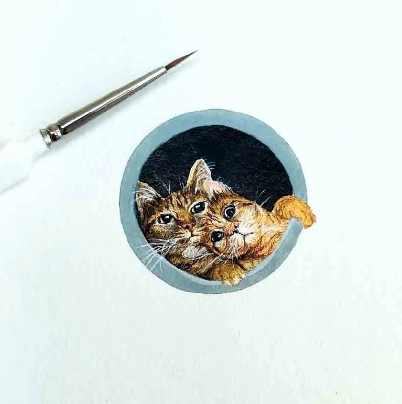 Two Cats In A Washing Machine (2021)