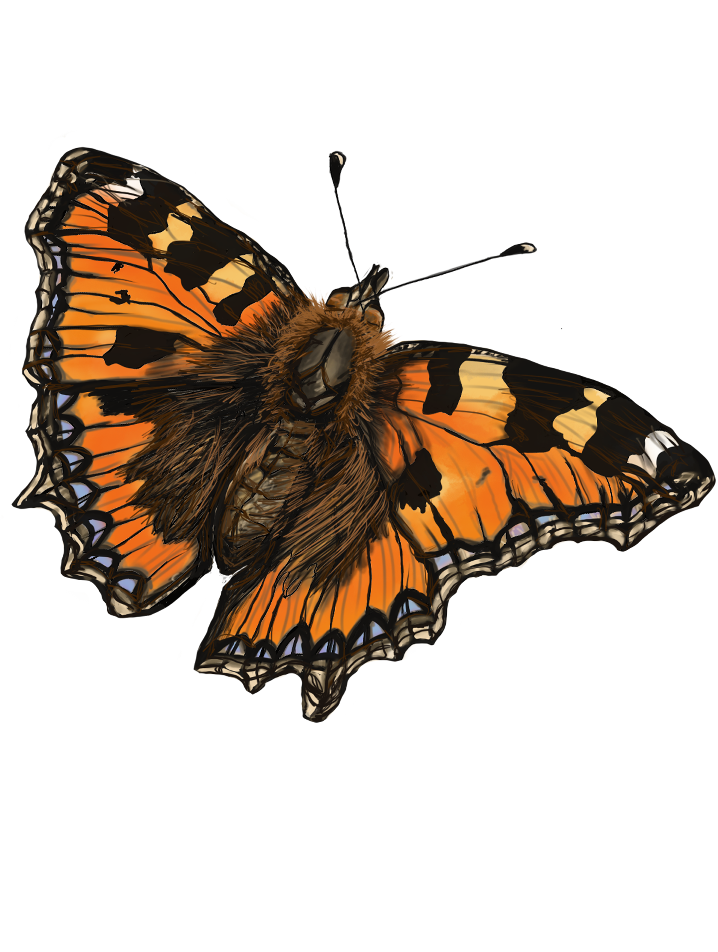 Micro painting TEST DO NOT BUY