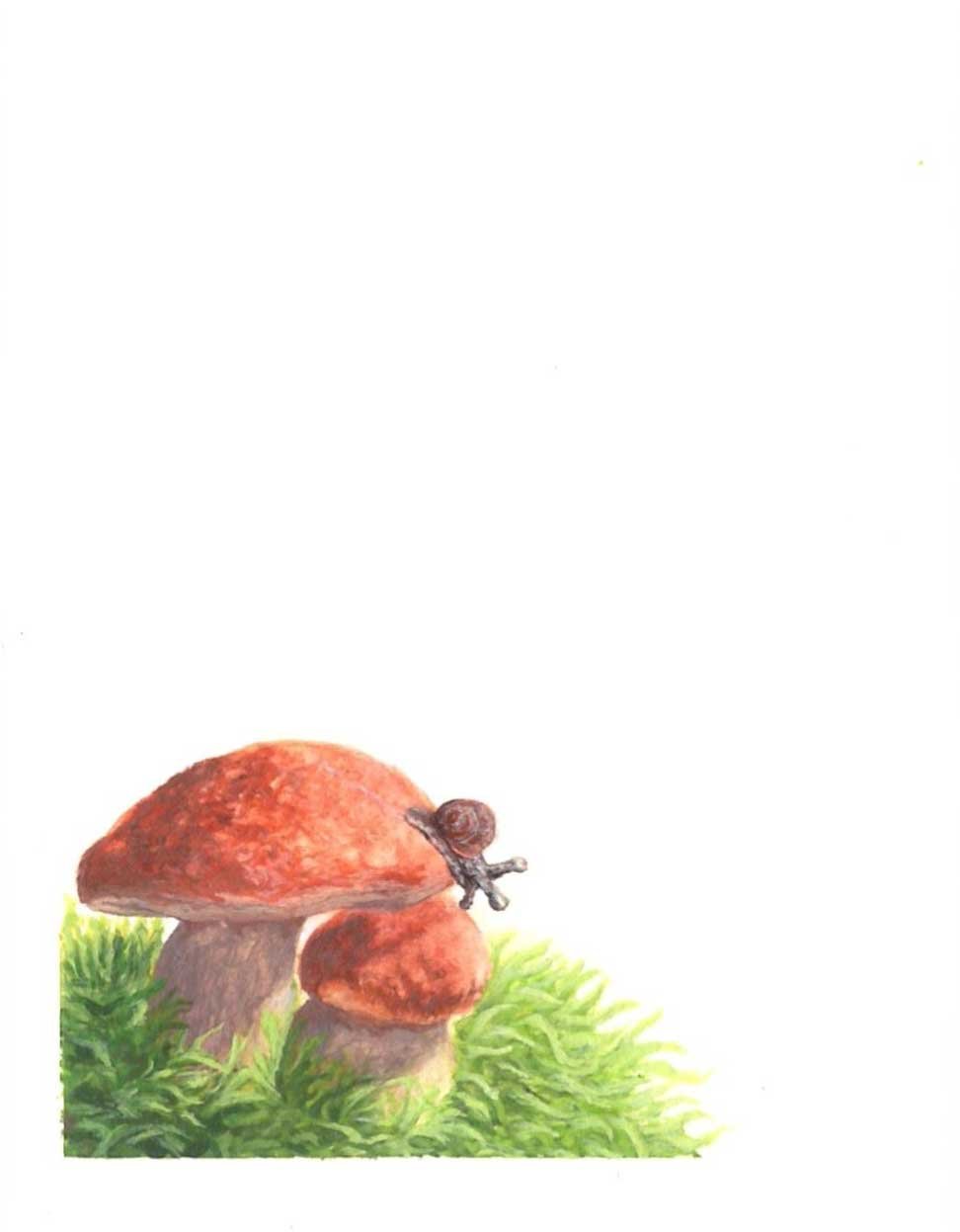 Snail On Mushroom (2025)