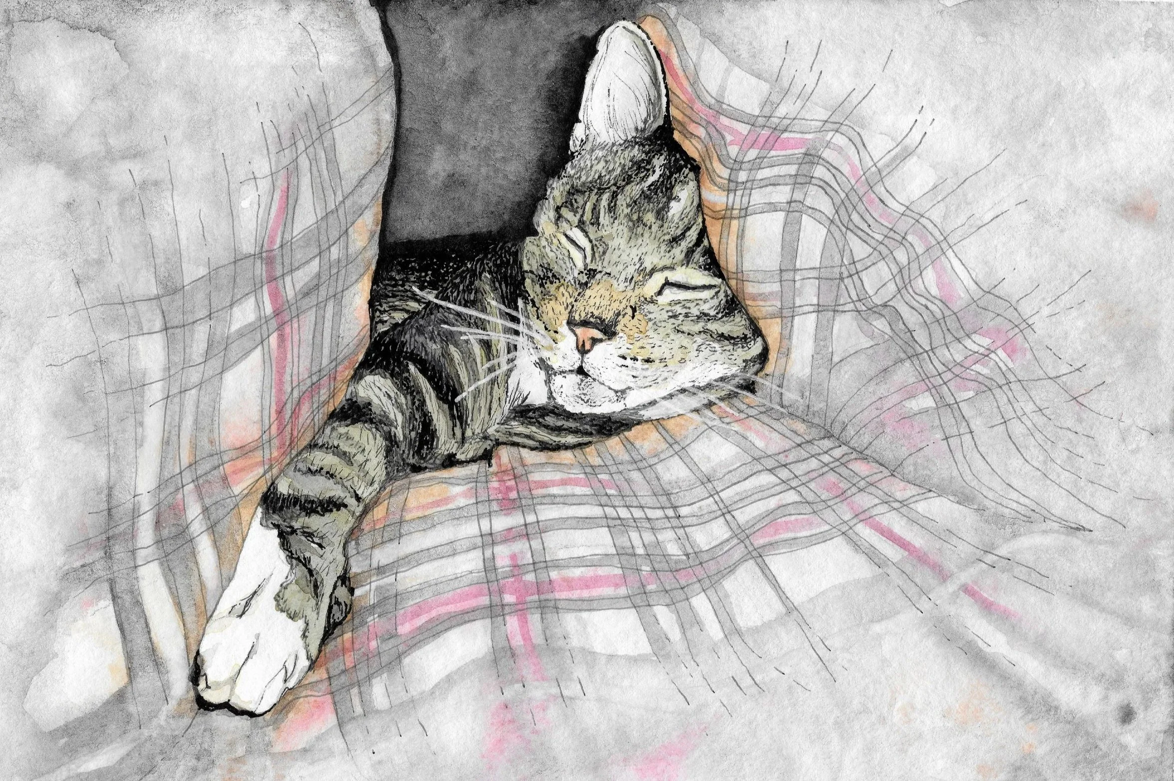 A watercolor illustration of a tabby cat sleeping on a striped multicolored bed or blanket.
