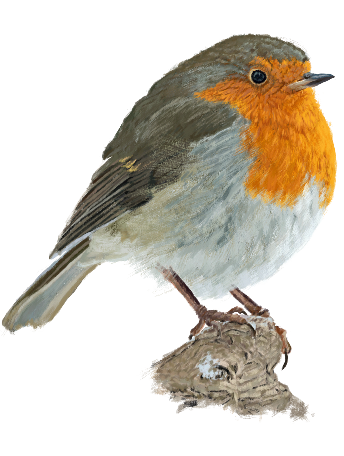 POD Stickers TEST DO NOT BUY