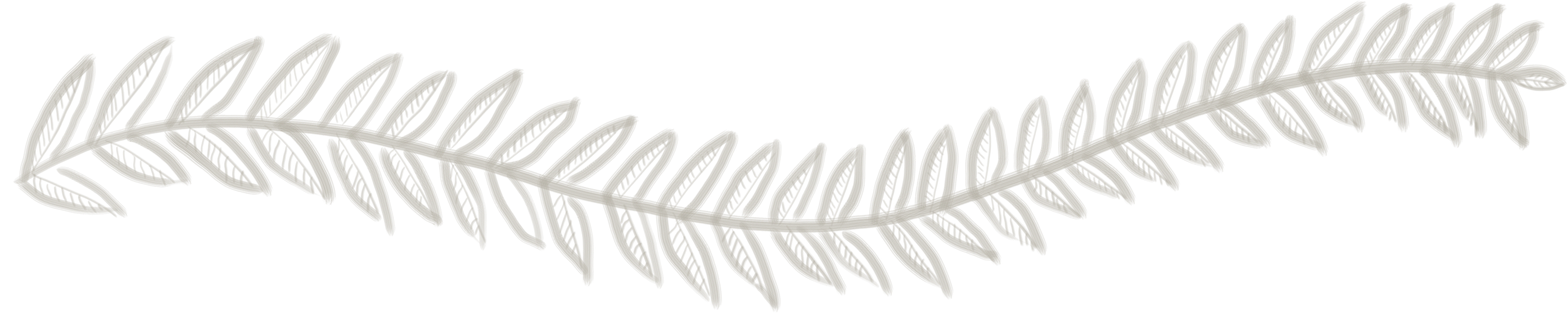 Gray fern leaf silhouette on black background.