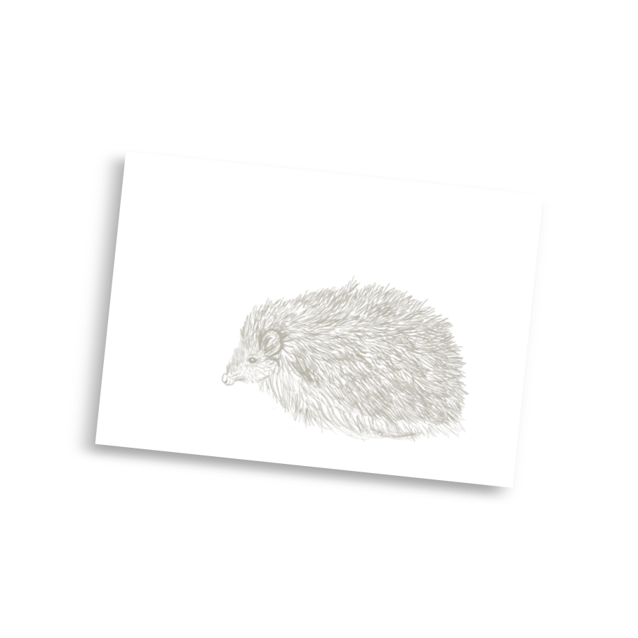Hedgehog
