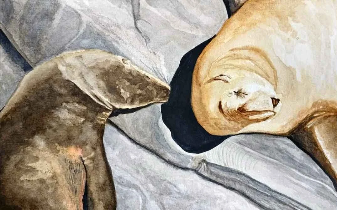 A painting of 2 sealions with a cute, happy face, lying on its back among rocks.