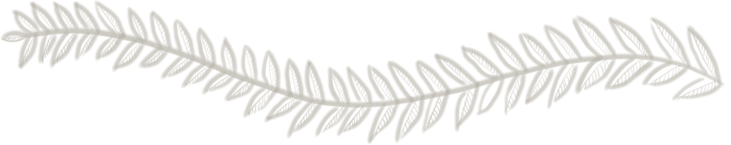 Gray silhouette of a fern leaf on a black background.