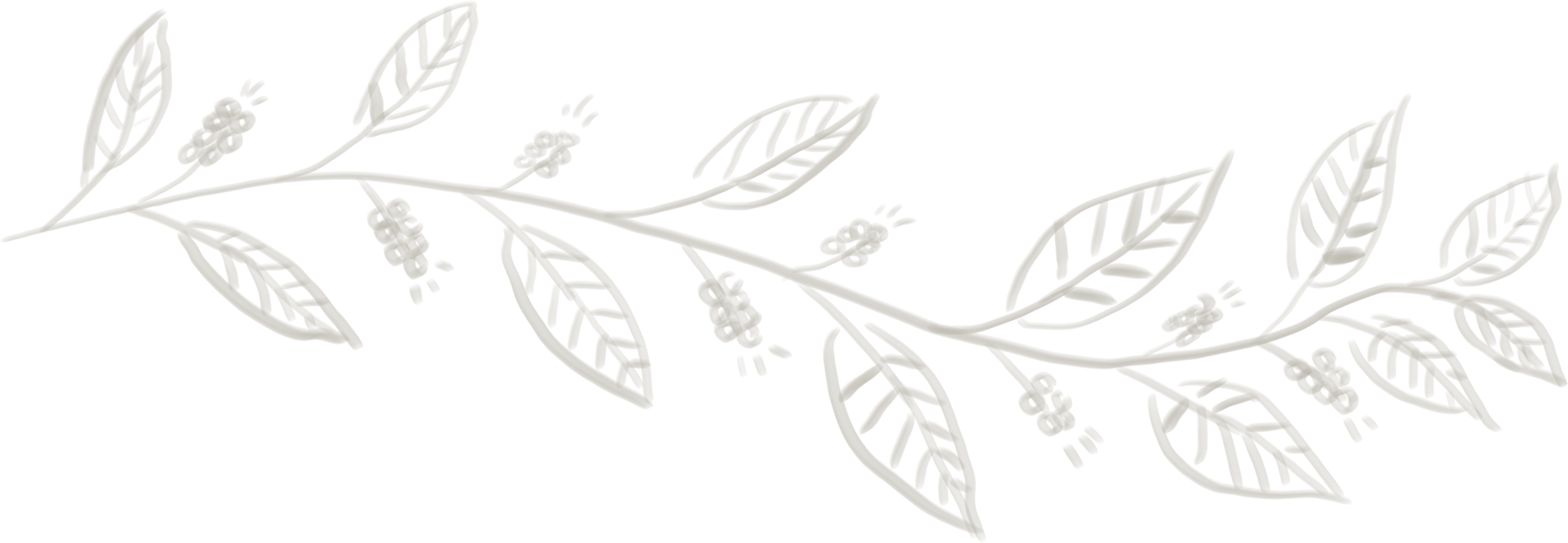 Gray outline of a decorative branch with leaves and small flowers.