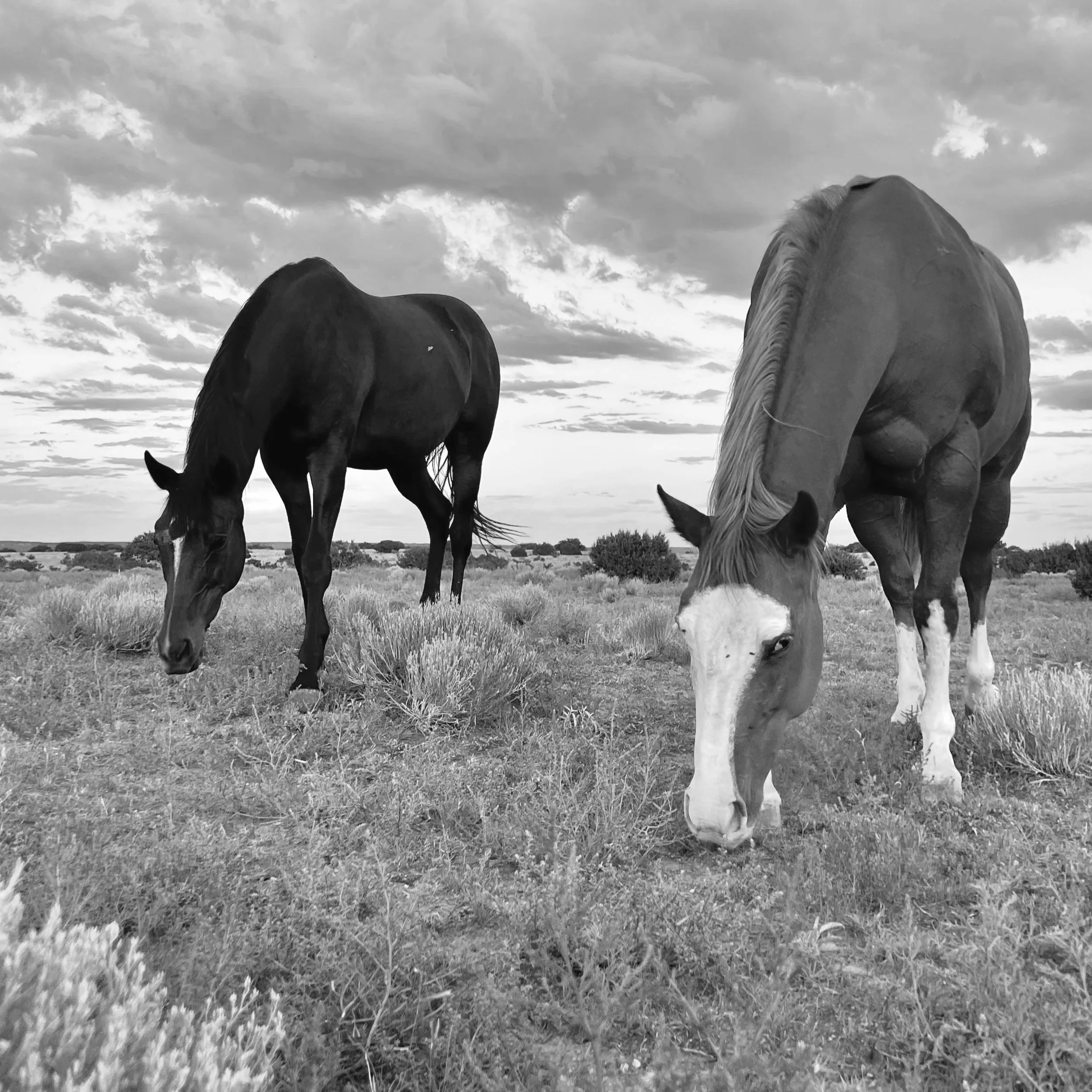 Study Group: Non-Refundable Deposit