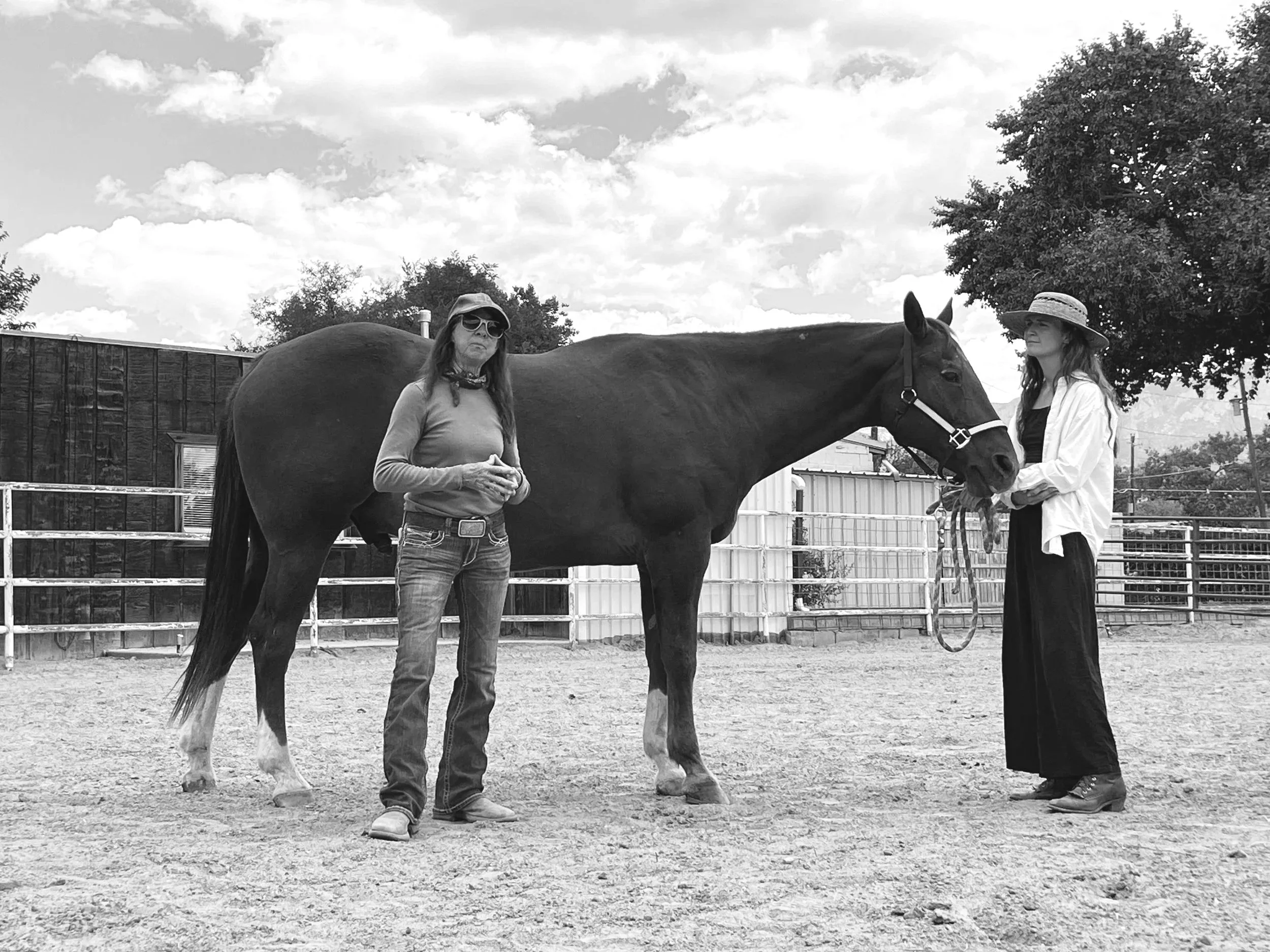 An equine educator teaching a woman about how to help her  horse in an outdoor paddock. One woman is standing with her hands clasped, wearing sunglasses and a hat.