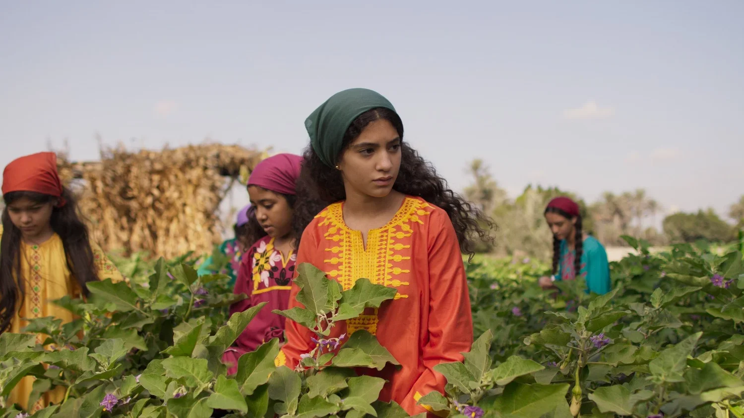 A group of young girls in colorful traditional clothing and headscarves walking through a lush farm with green plants and purple flowers under a clear sky.