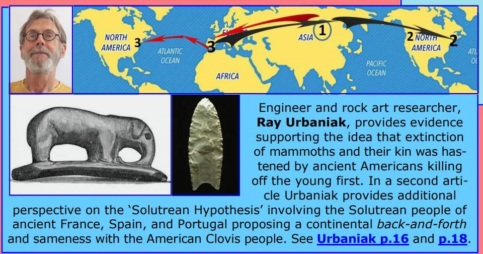 accelerated extinctions.jpg