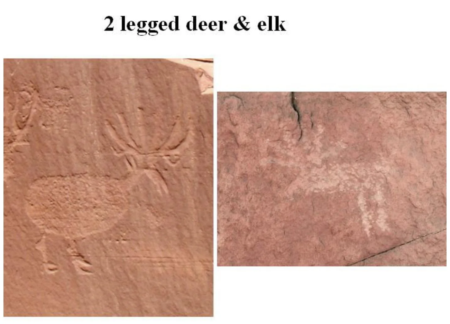 2 legged deer elk.jpg