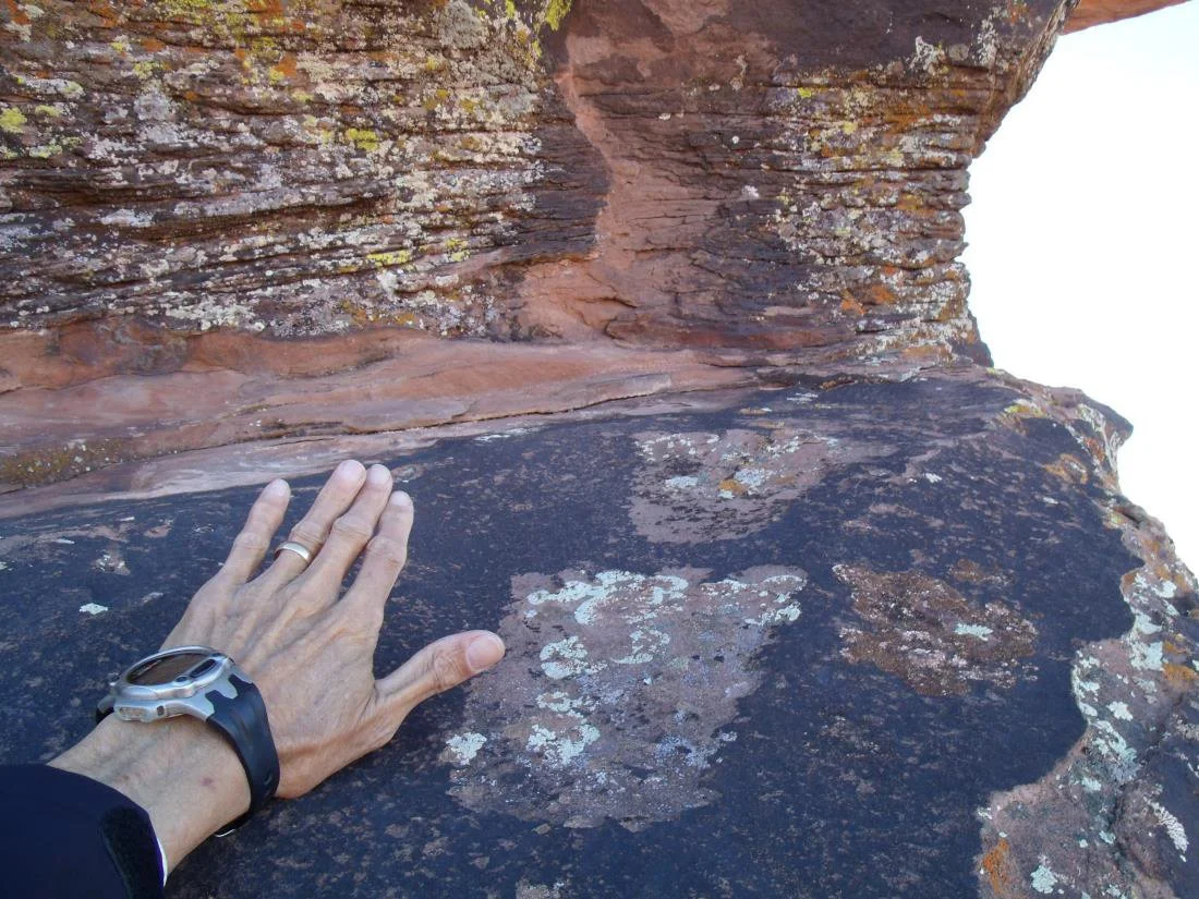 Hand shown below for scale.