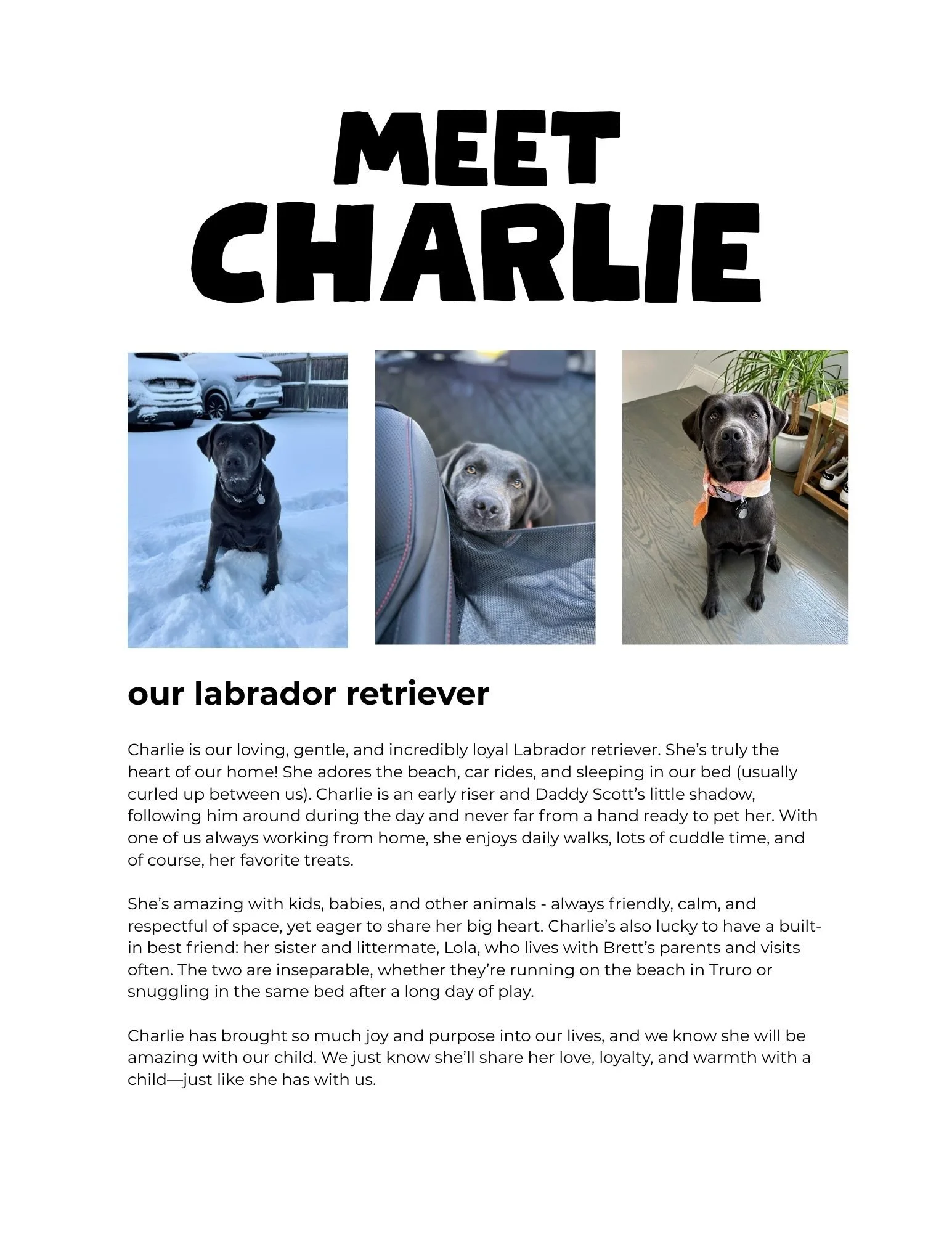 Meet Charlie.jpg