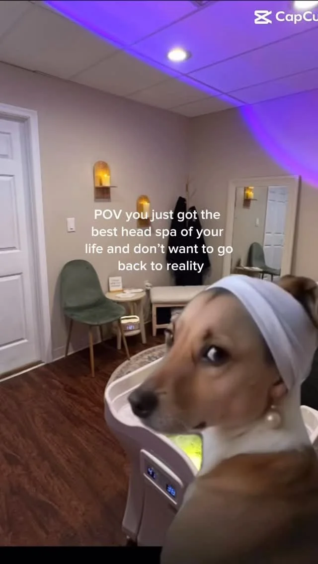 πΏβ¨ The best head spa of your life is waiting for you at Align. β¨πΏ
From stress relief to scalp health to pure relaxation, our head spa is more than a treatment, it’s an experience. π‍βοΈπ
Book your escape today and see why everyone is t