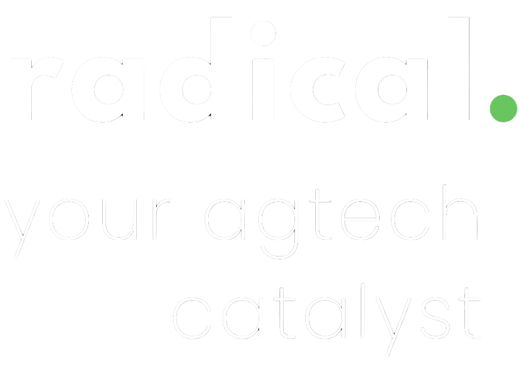 Your Site Title