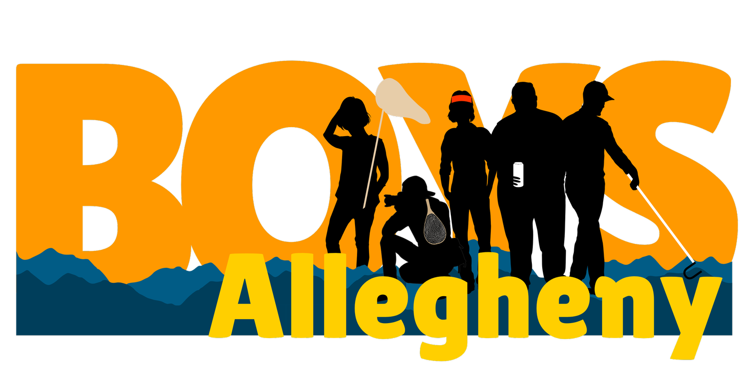 Allegheny Boys