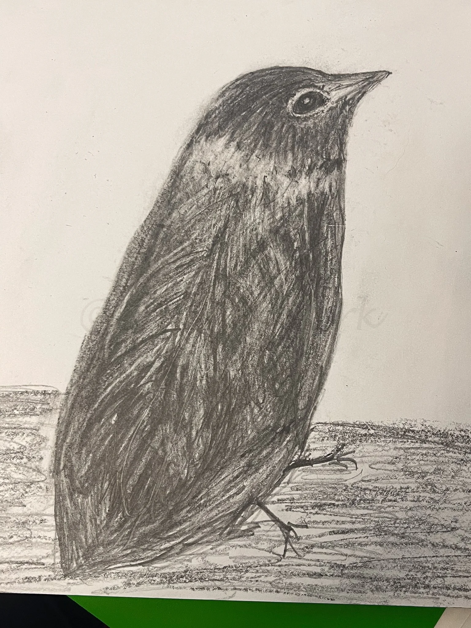 Heron -012 - Copy.jpg