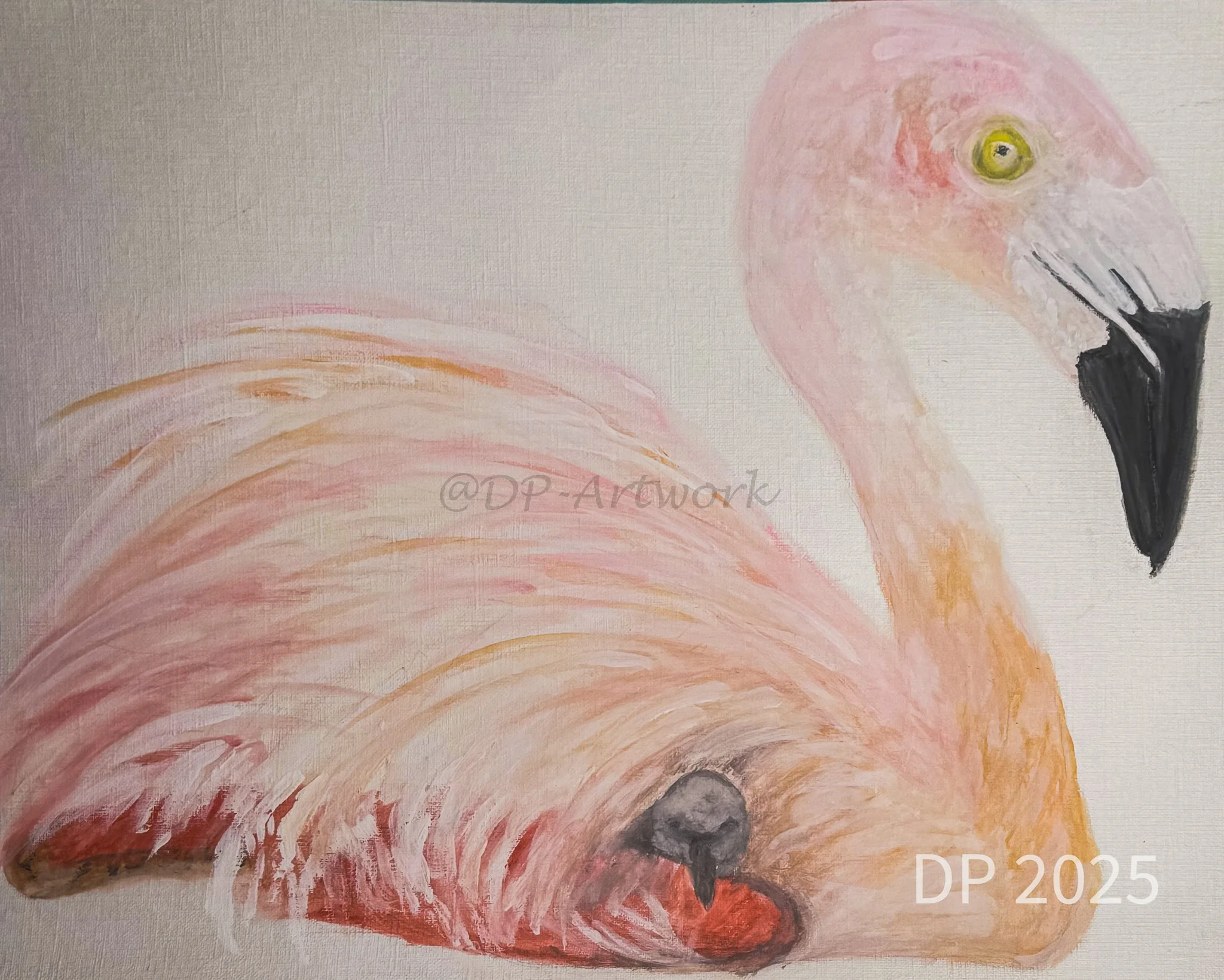 Pink Flamingo with baby under wing.  Gouache and watercolor