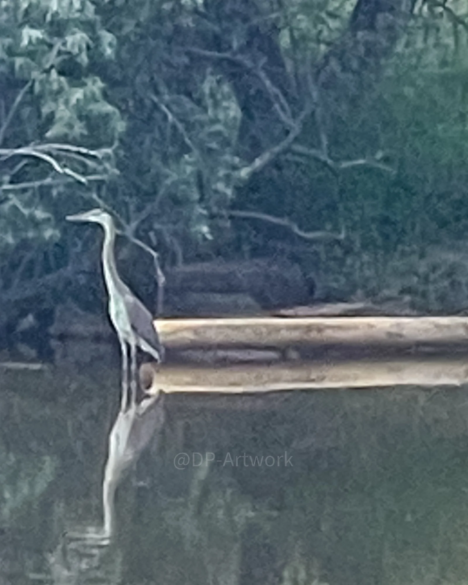 A heron standing by the water's edge with a reflection visible in the water, and trees in the background.