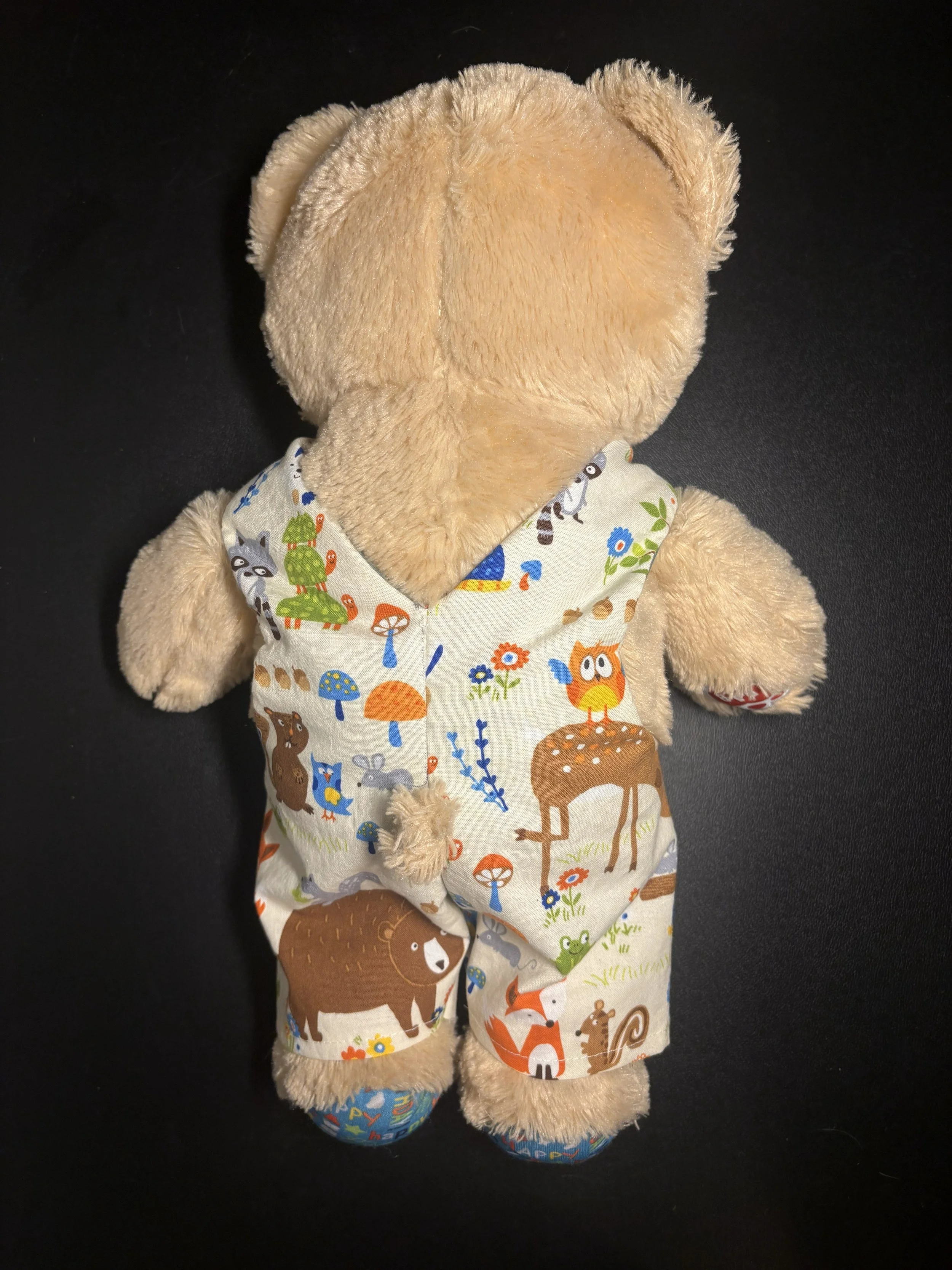 DForestFriendsonBear02 SKUDB001.jpg